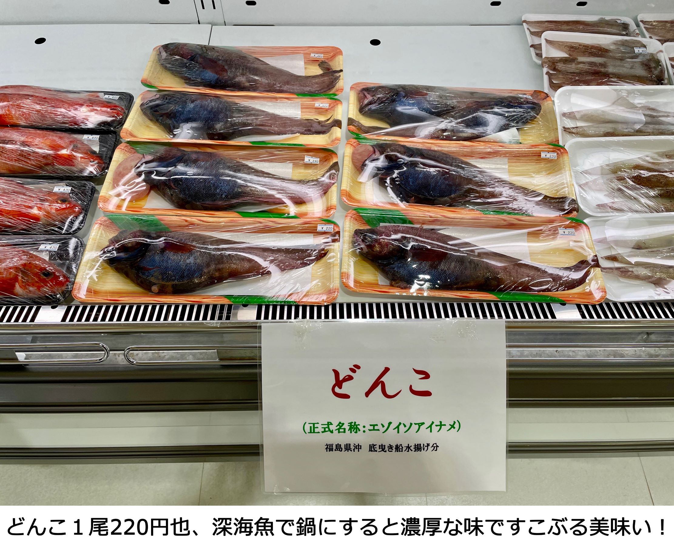 東北復幸のいま 歩くことで伝えられるコト 絆をつなぐ 東北復興支援運動体 東北復幸のいま 歩くことで伝えられるコト 絆をつなぐ 東北復興支援運動体